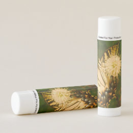 Bálsamo Labial Monarca Amarillo
