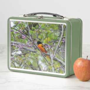 Baltimore Oriole