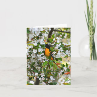 Baltimore Oriole #1 - Tarjeta de nota en blanco