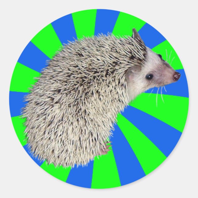 ¡BAM! Pegatinas Hedgehog 2 (Anverso)