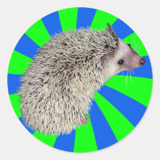 ¡BAM! Pegatinas Hedgehog 2