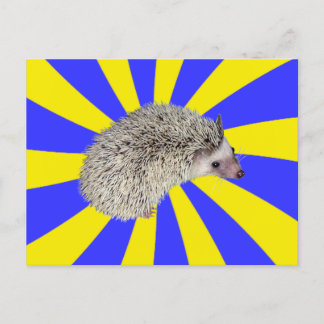 ¡BAM! Postales de Hedgehog 2
