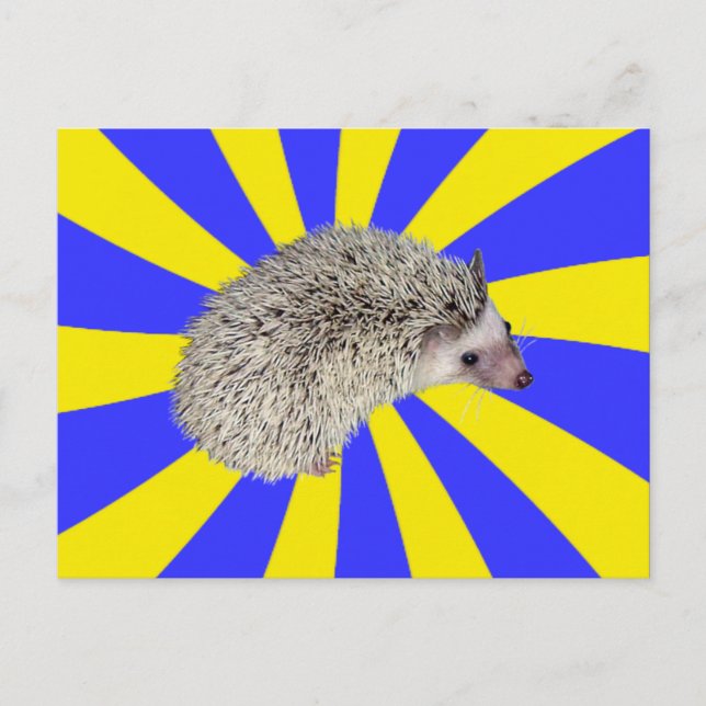 ¡BAM! Postales de Hedgehog 2 (Anverso)