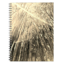 Bambú en cuaderno de Sepia