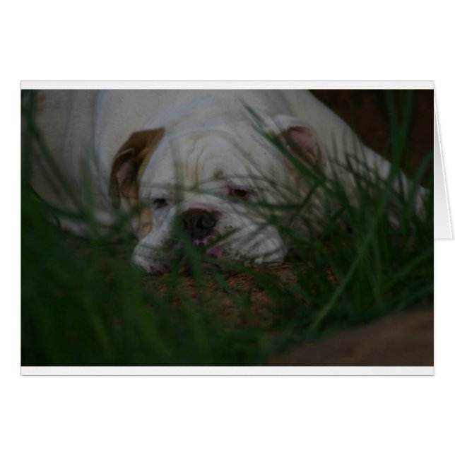 Bammer (Anverso (Horizontal))