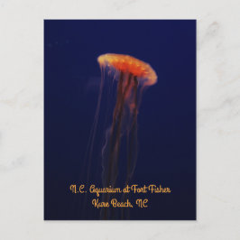 Bañar una postal vertical hermosa