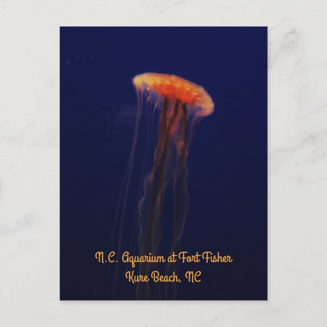 Bañar una postal vertical hermosa (Anverso)