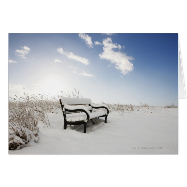 banco cubierto de nieve en el campo (Anverso (Horizontal))