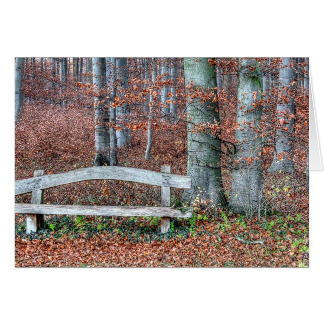 Banco de parque hecho en casa (Anverso (Horizontal))