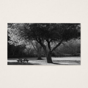 Banco de parque y foto del árbol