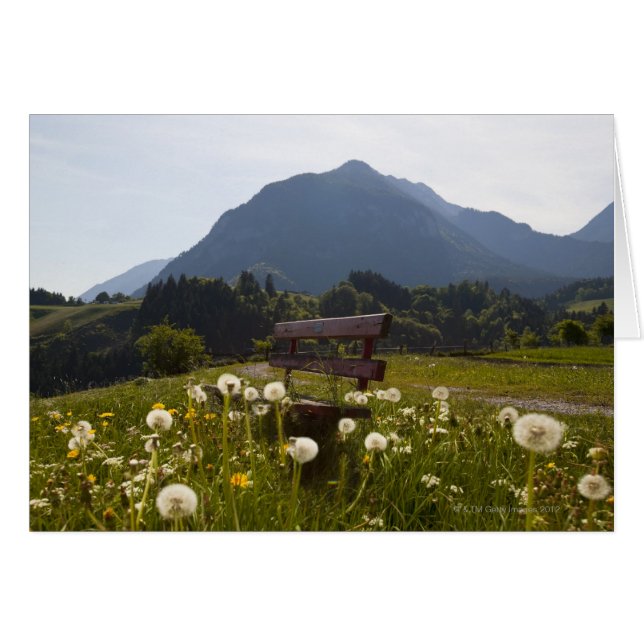 Banco de parques en campo rural (Anverso (Horizontal))