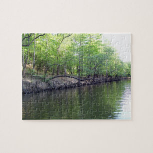 Bancos del rompecabezas de Big Cypress Bayou (Jeff