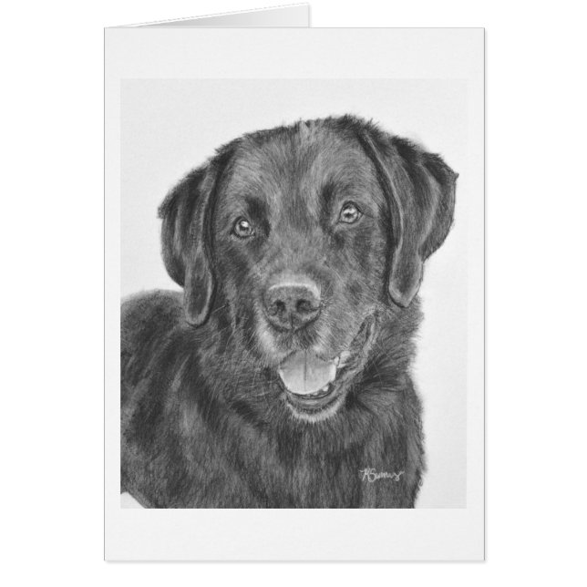 Banda Black Lab (Frente)