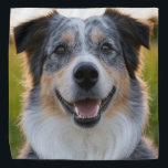 Bandana Añadir Personalizar de fotografía Mascota<br><div class="desc">Añadir Personalizar fotográfico Mascota,  añadir foto Mascota,  añadir foto de perro,  Mascota,  Mascotas,  perro,  personalizar,  Personalizar,  foto,  contenido generativo</div>