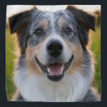 Bandana Añadir Personalizar de fotografía Mascota<br><div class="desc">Añadir Personalizar fotográfico Mascota,  añadir foto Mascota,  añadir foto de perro,  Mascota,  Mascotas,  perro,  personalizar,  Personalizar,  foto,  contenido generativo</div>