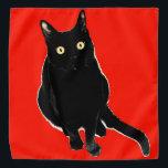 Bandana Banda roja del gato negro gatito<br><div class="desc">Bandana</div>