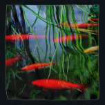 Bandana Fish Pond<br><div class="desc">2025</div>