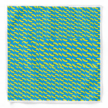 ¡La primera Banana Bandana!