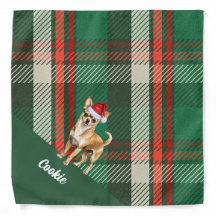 Navidades de perros chihuahua con trapos verdes pe