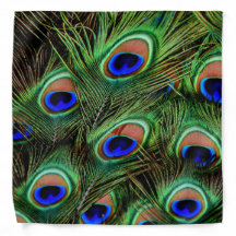 Pantalla de la funda guardapolvo