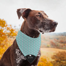 Bandana para mascotas con nombre con guión de cora