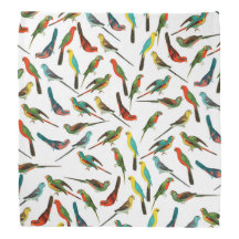 Patrón de colorido de aves acuáticas tropicales de