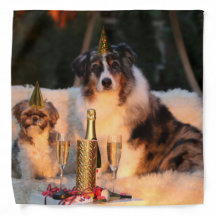 Perros celebrando Año Nuevo