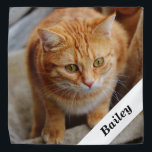 Bandana Plantilla de fotografía personalizada de gato de p<br><div class="desc">Este diseño puede ser personalizado en el área proporcionada cambiando la foto y/o el texto. O puede personalizarse eligiendo la opción de hacer clic en el personalizar y borrar o cambiar el color, el fondo, agregar texto, cambiar el color o estilo del texto o eliminar el texto para un diseño...</div>