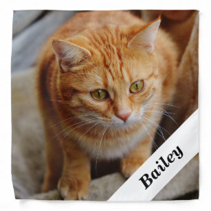 Bandana Plantilla de fotografía personalizada de gato de p