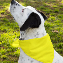 Sencillamente amarillo Personalizar de color sólid
