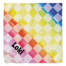 Verificadores del arco iris