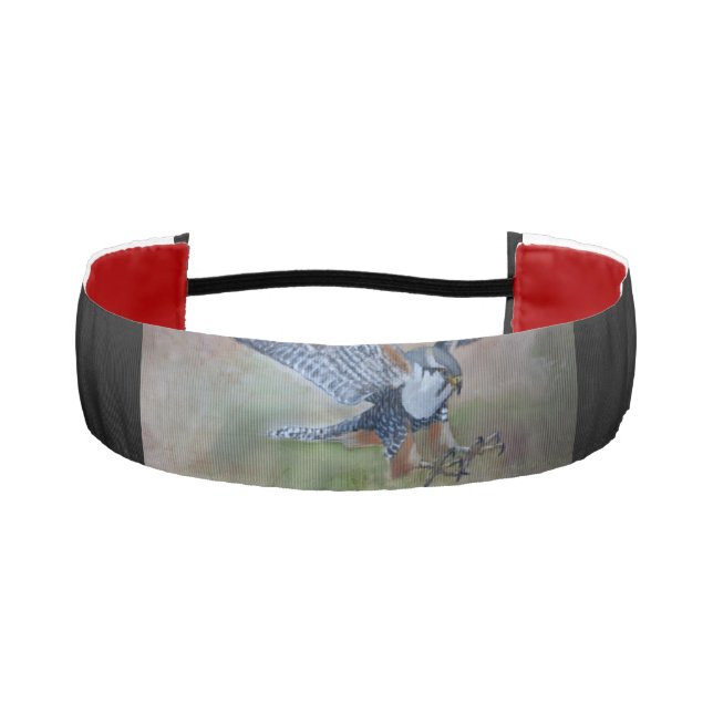 Bandas de cabeza no deslizantes del Halcón (Anverso)