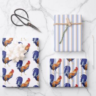 Bandas de gallo de papel de envolver conjunto plan