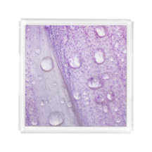 Diseño floral macro de la violeta de la primavera