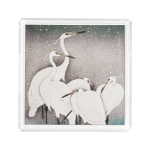 Egredientes En Invierno Nieve Arte Asiático Sirvie