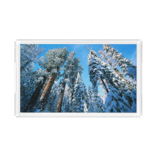 Bandeja Acrílica Hielo y nieve   Parque nacional Sequoia, Californi