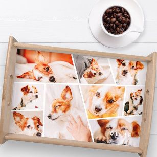 Bandeja Collage de fotos de mascotas modernos y simples Pe