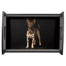Bandeja de servir Black 4 Luxe, perro Terrier sin 