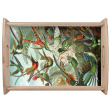 Bandeja del colibrí
