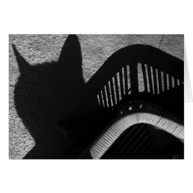 Bandeja del gato (Anverso (Horizontal))