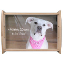 Perro blanco lindo con mamá de bufanda rosa
