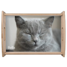 Personalizado Cute Gray Kitty Cat Photo