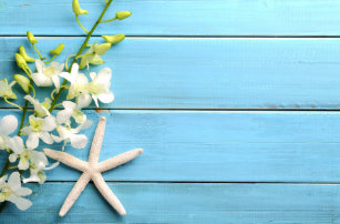 Wallpaper Regalos Cumpleanos Tematico De La Playa Zazzle Es Free