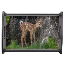Shaky Legs Fawn