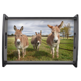 Bandeja Tres burros