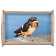 Bandejas de porción de barn Swallow