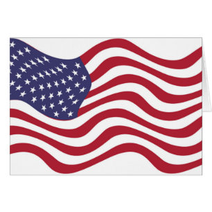 BANDERA AMERICANA
