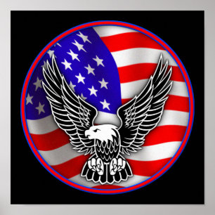 Bandera Americana Águila Calva Cartel Señal Estado