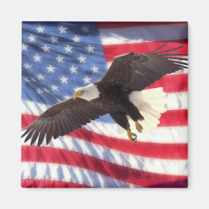 Bandera americana y imán de Eagle