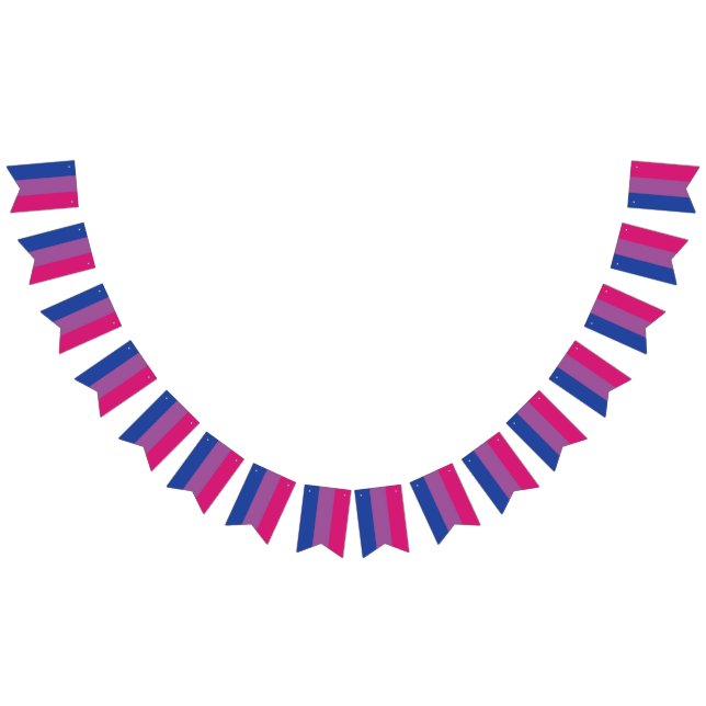 Bandera Bi Bunting (Todo)